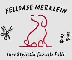 Hundefriseursalon Felloase Merklein - Ihre Stylistin für alle Felle